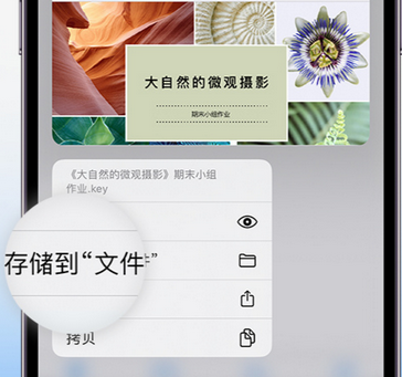 西昌apple维修中心分享iPhone文件应用中存储和找到下载文件