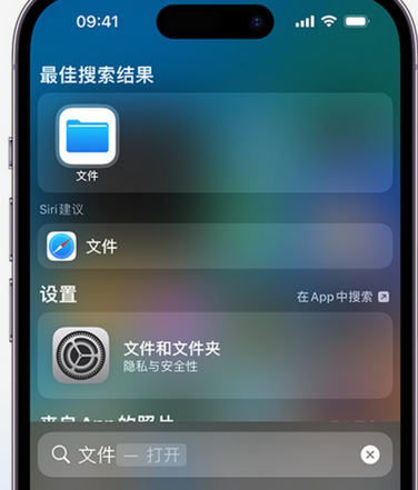 西昌apple维修中心分享iPhone文件应用中存储和找到下载文件