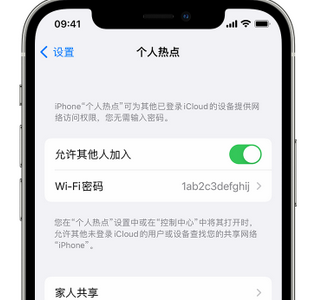 西昌apple服务站点分享iPhone上个人热点丢失了怎么办 