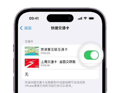 西昌apple维修点分享iPhone上更换Apple Pay快捷交通卡手绘卡面 