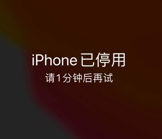 西昌苹果手机维修分享:iPhone 显示“不可用”或“已停用”怎么办？还能保留数据吗？ 