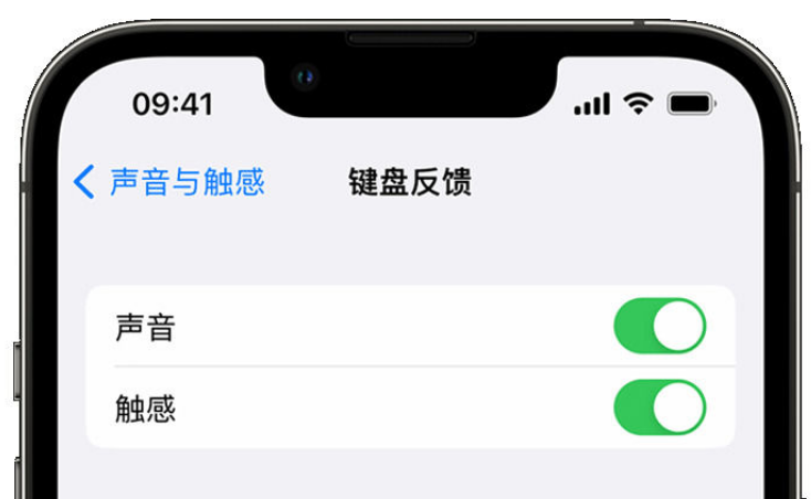 西昌苹果手机维修分享iPhone 14触感键盘使用方法 