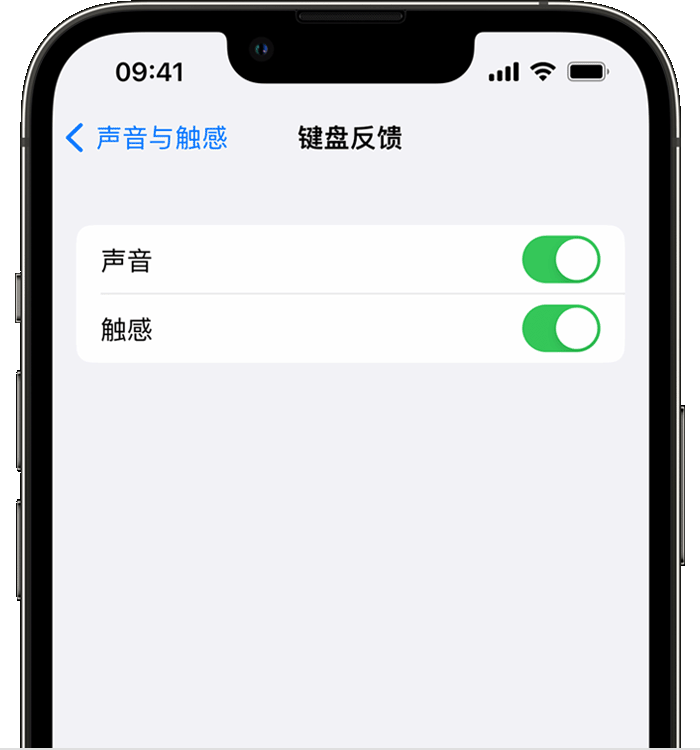 西昌苹果14维修店分享如何在 iPhone 14 机型中使用触感键盘 