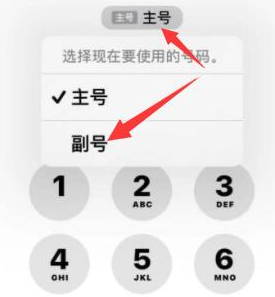 西昌苹果14维修店分享iPhone 14 Pro Max使用副卡打电话的方法 