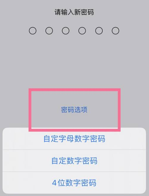 西昌苹果14维修分享iPhone 14plus设置密码的方法 