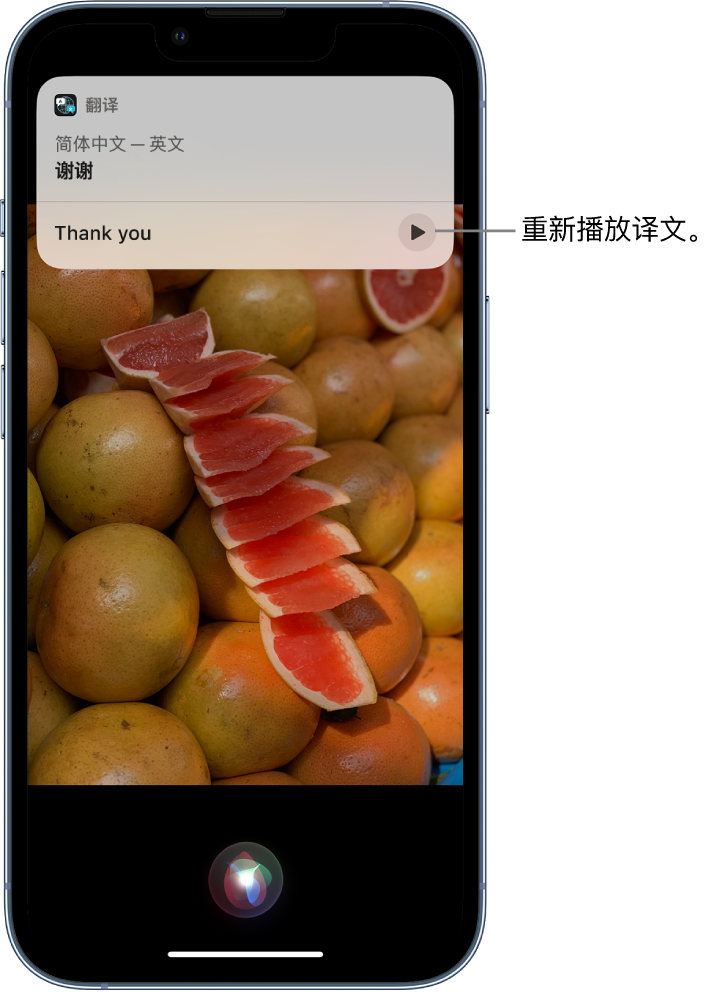 西昌苹果14维修分享 iPhone 14 机型中使用 Siri：了解 Siri 能帮你做什么 