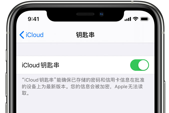 西昌苹果手机维修分享在 iPhone 上开启 iCloud 钥匙串之后会储存哪些信息 