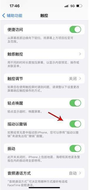 西昌苹果手机维修分享iPhone手机如何设置摇一摇删除文字 